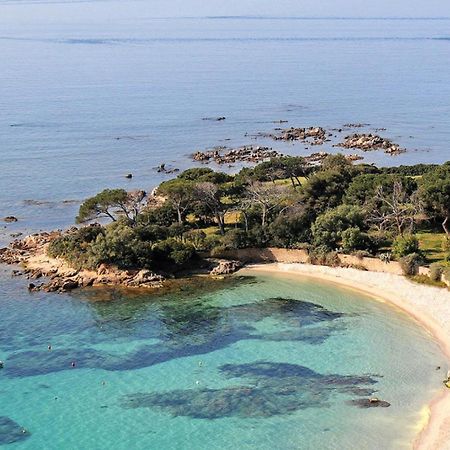 Studio Rue Pietonne Ajaccio Αζάτσιο Εξωτερικό φωτογραφία