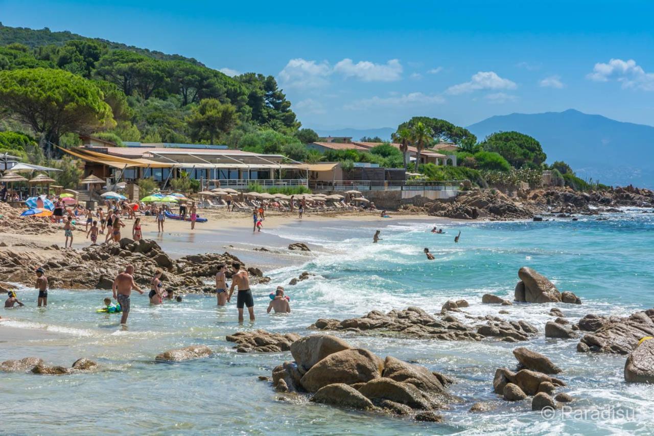 Studio Rue Pietonne Ajaccio Αζάτσιο Εξωτερικό φωτογραφία